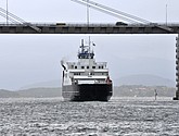 DSC_1768.JPG