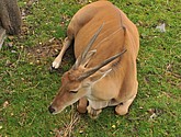 DSC_1770.JPG
