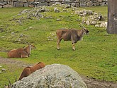 DSC_1772.JPG