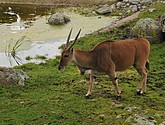 DSC_1776.JPG