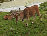 DSC_1777.JPG