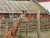 DSC_1779.JPG