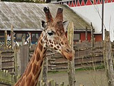 DSC_1782.JPG