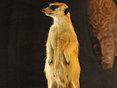 DSC_1791.JPG