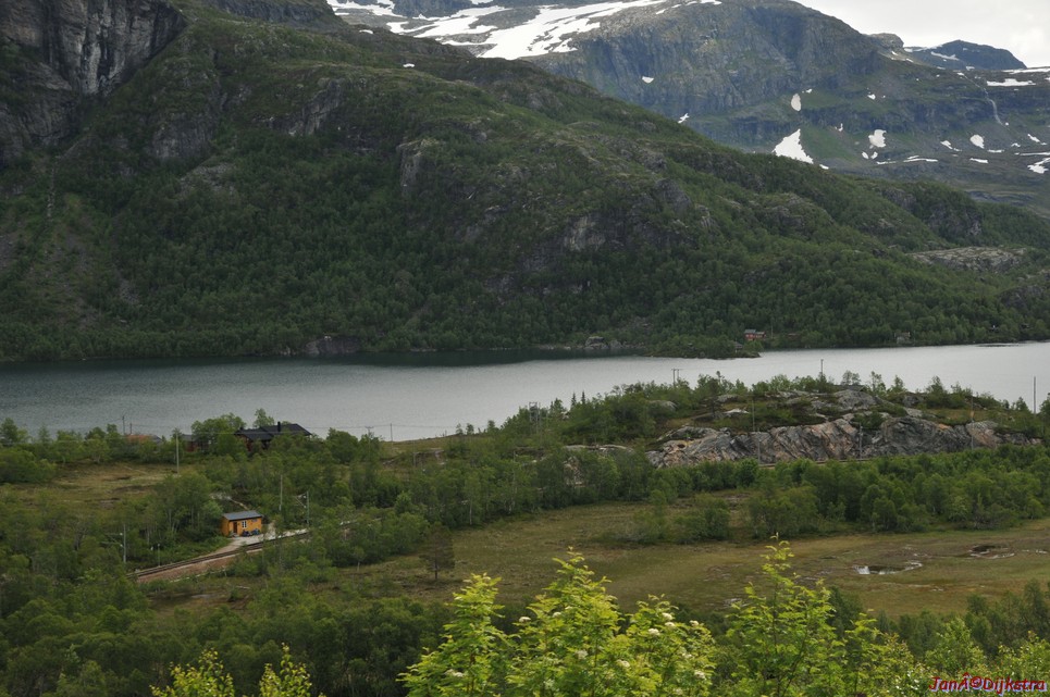 DSC_7732.JPG