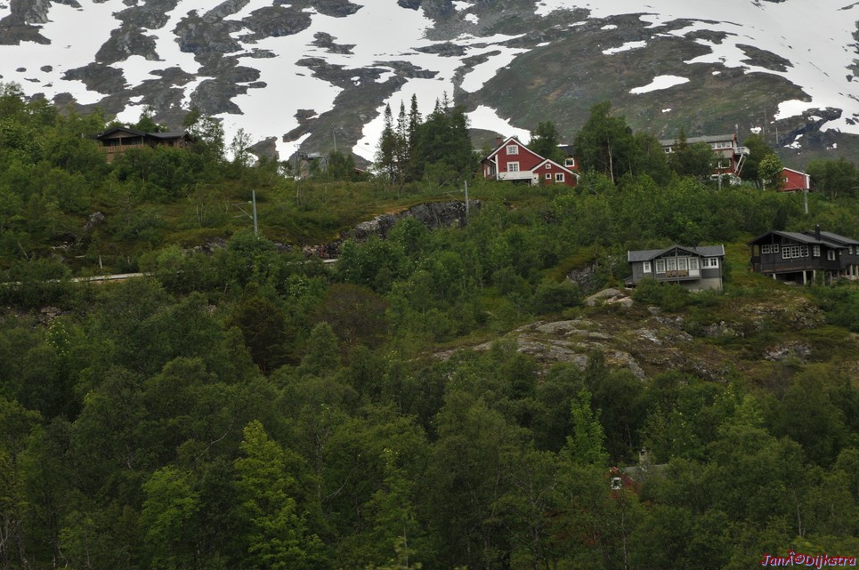 DSC_7739.JPG