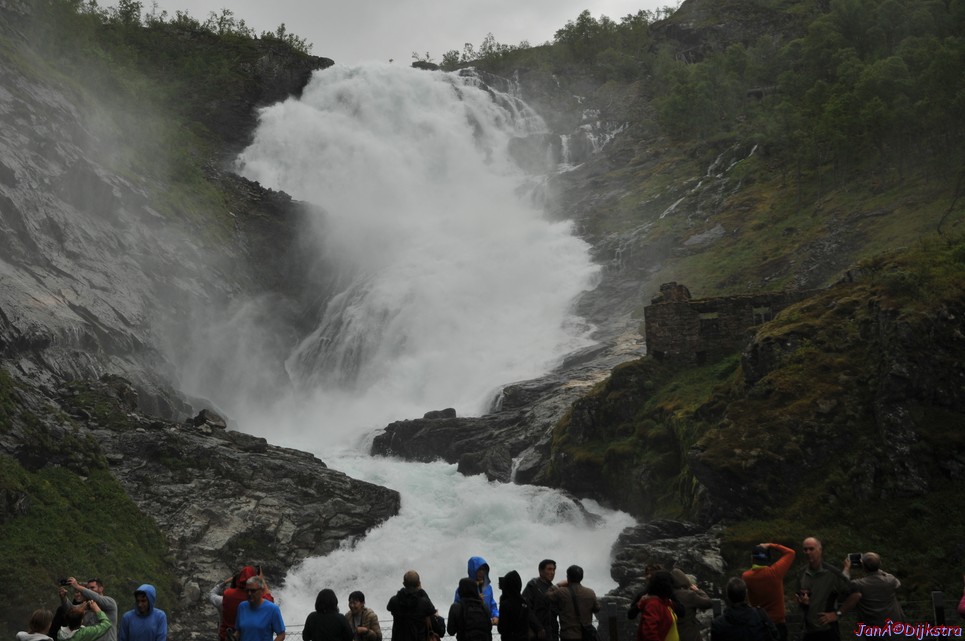 DSC_7752.JPG
