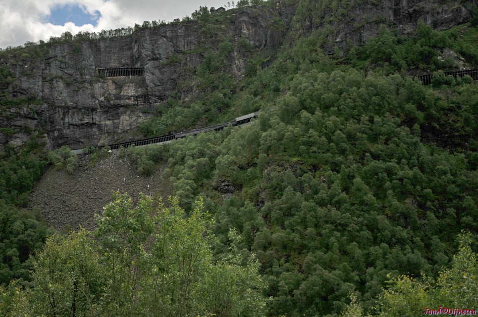 DSC_7767.JPG