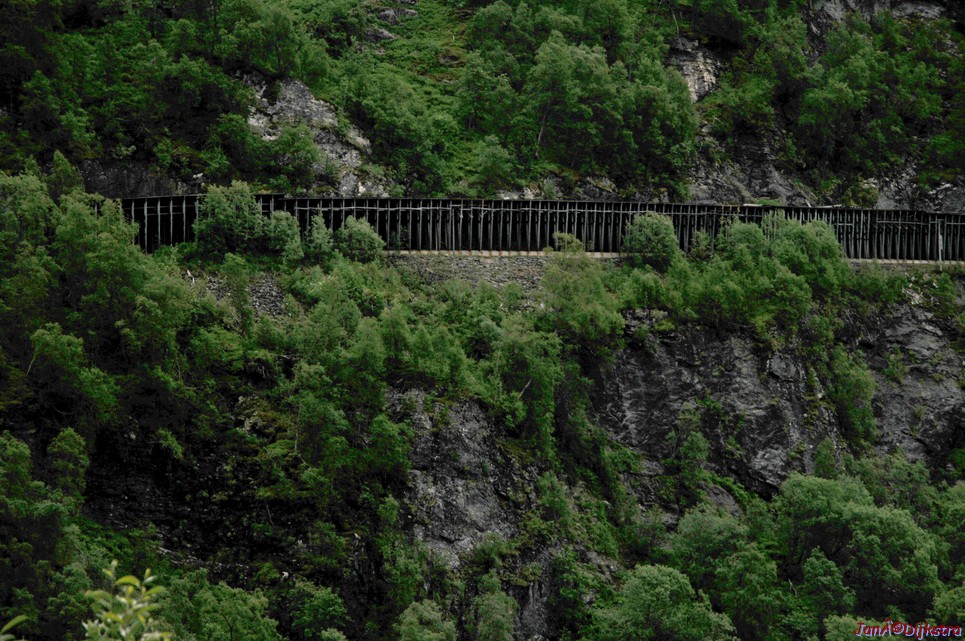DSC_7768.JPG