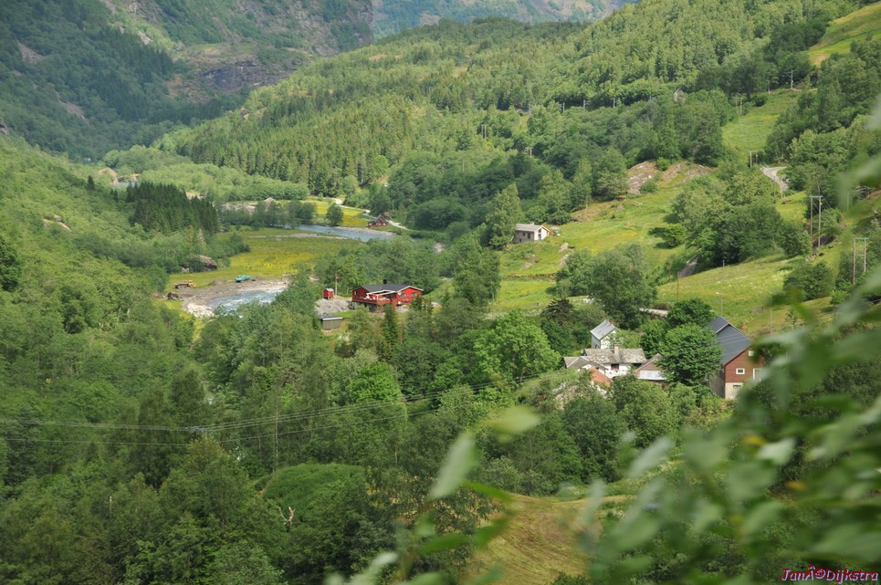 DSC_7775.JPG