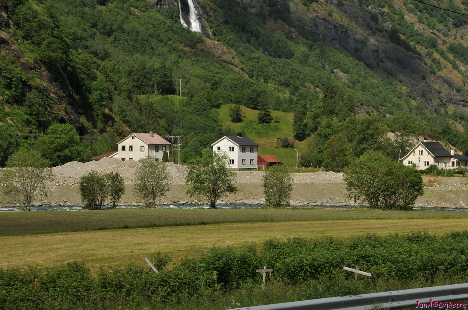 DSC_7800.JPG