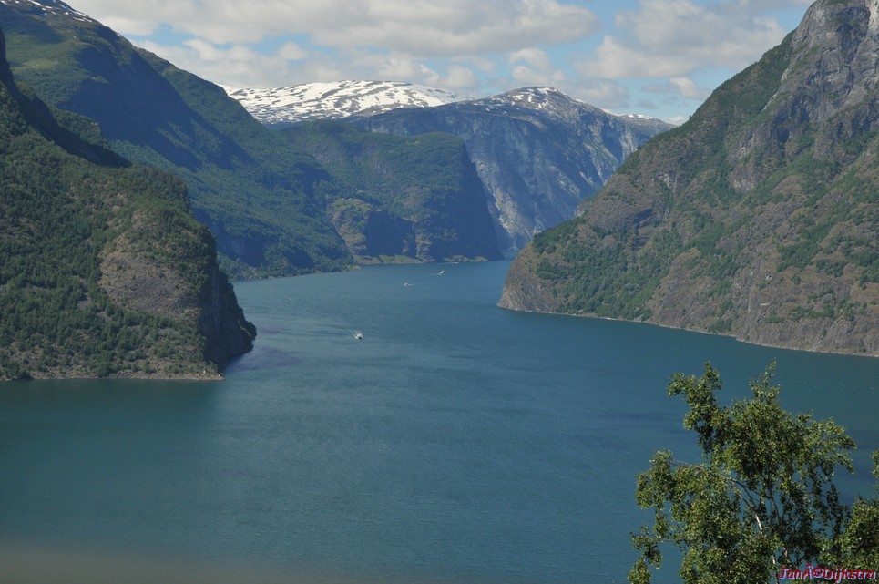 DSC_7835.JPG