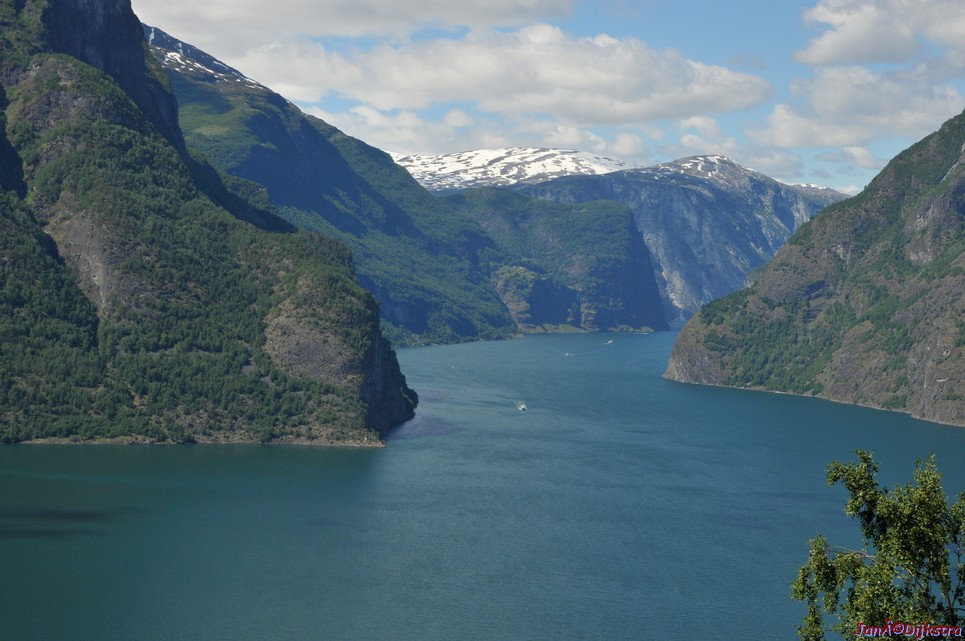 DSC_7836.JPG