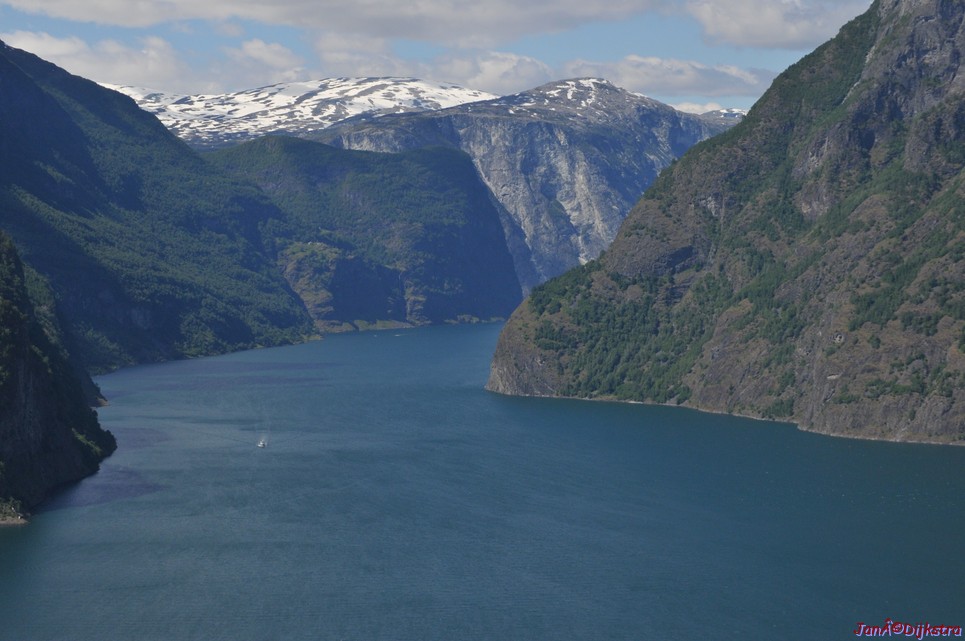 DSC_7849.JPG