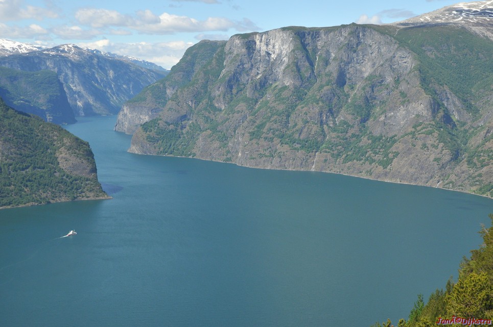 DSC_7853.JPG