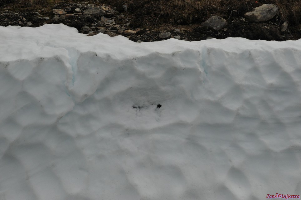 DSC_7860.JPG