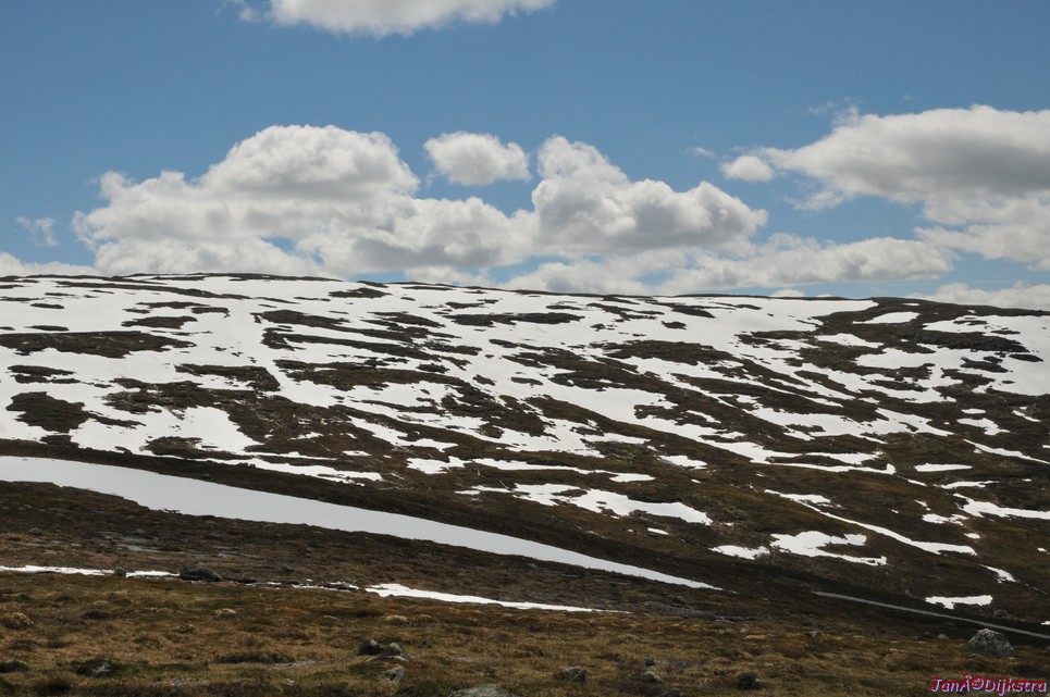 DSC_7861.JPG