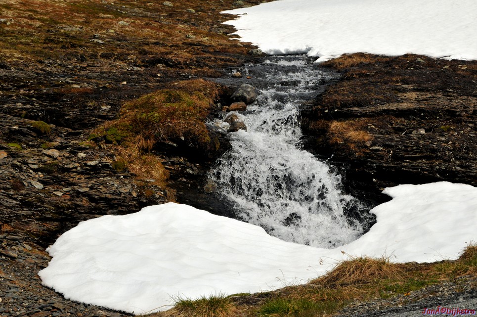 DSC_7863.JPG
