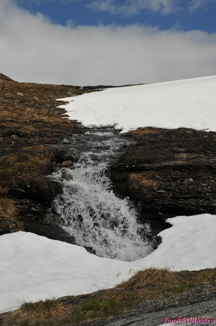 DSC_7864.JPG