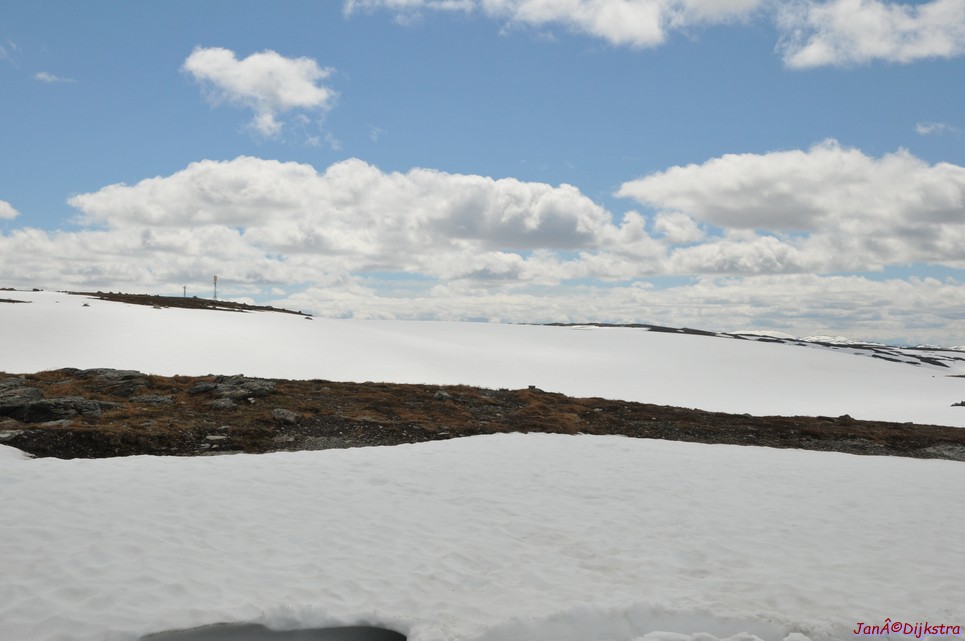 DSC_7867.JPG