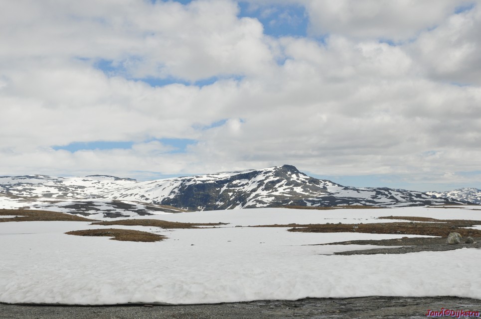 DSC_7869.JPG