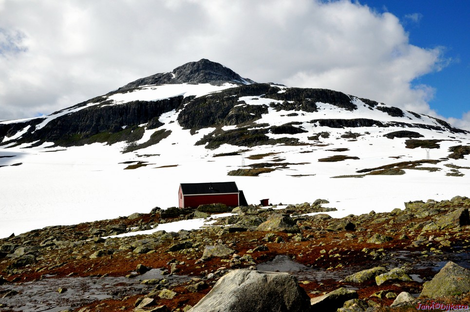 DSC_7879.JPG