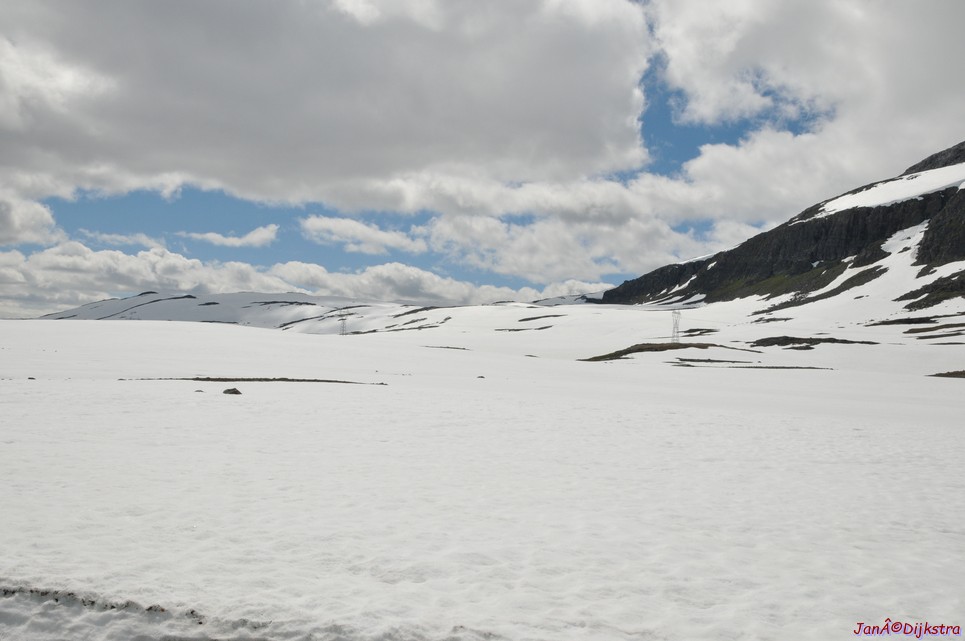 DSC_7880.JPG