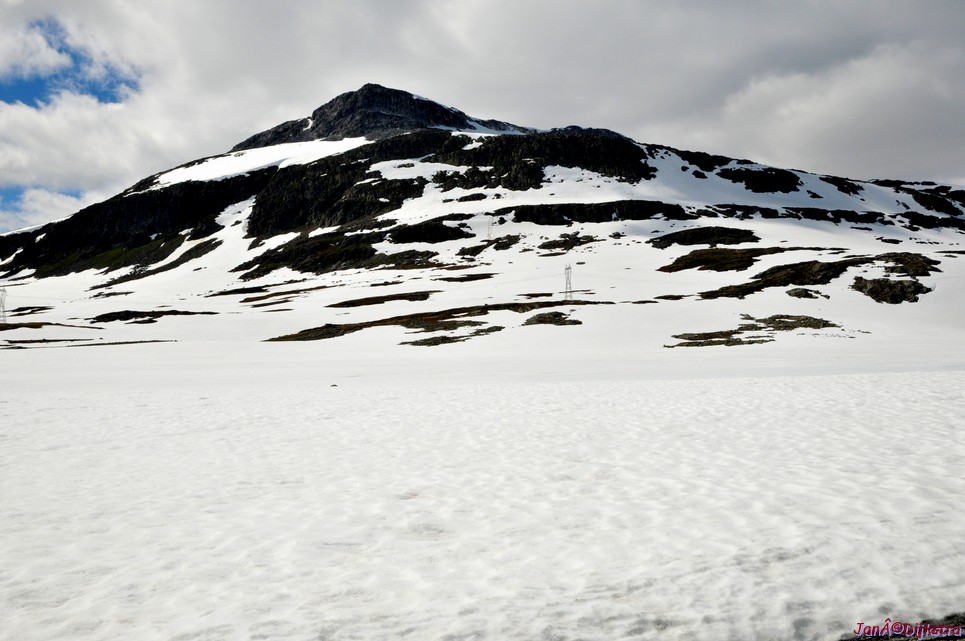 DSC_7881.JPG