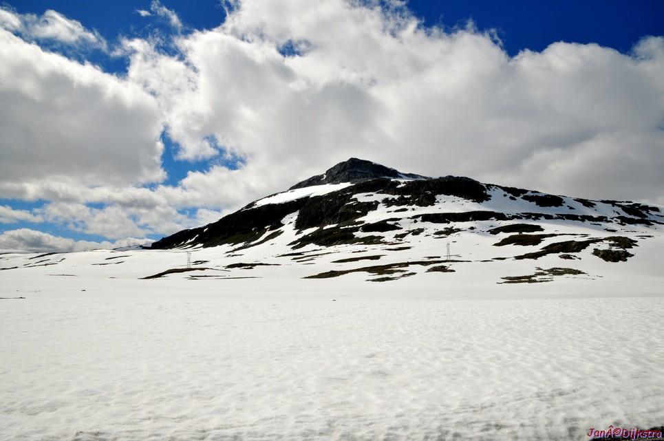 DSC_7882.JPG