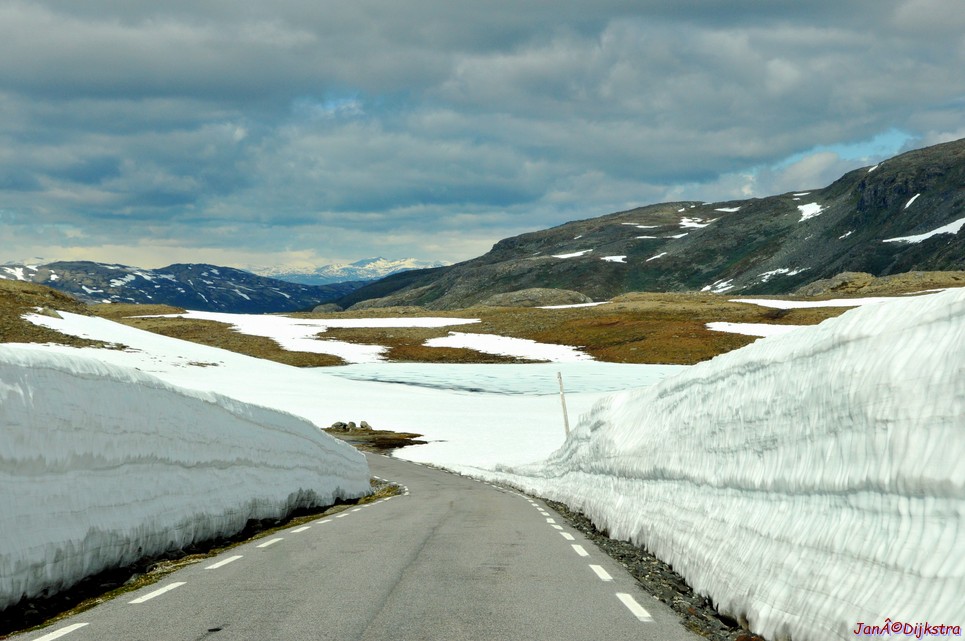 DSC_7883.JPG