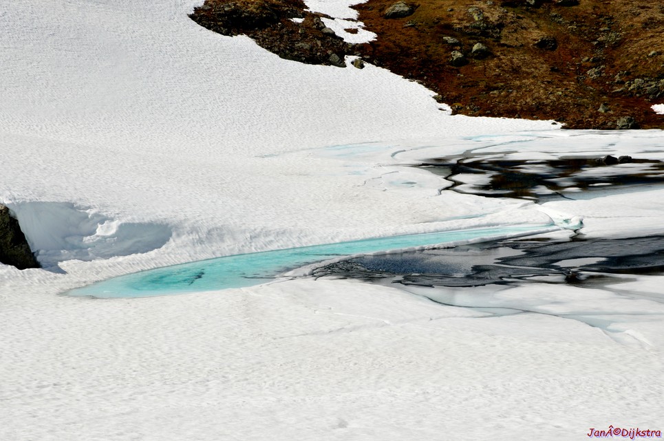 DSC_7884.JPG