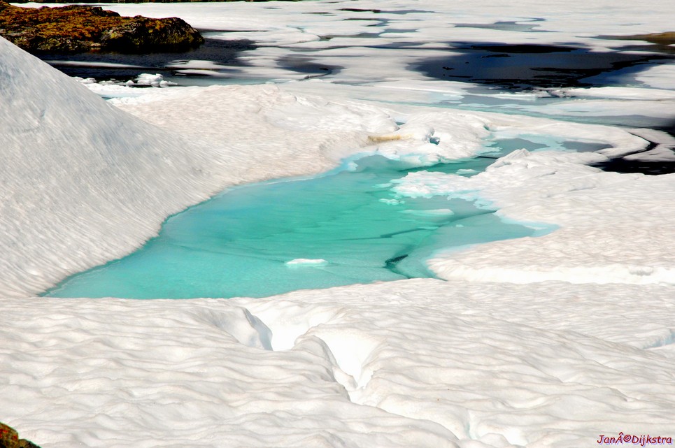 DSC_7885.JPG