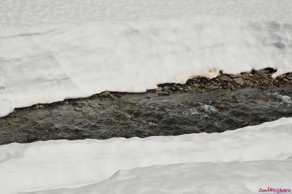 DSC_7887.JPG