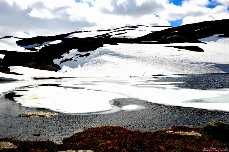 DSC_7888.JPG