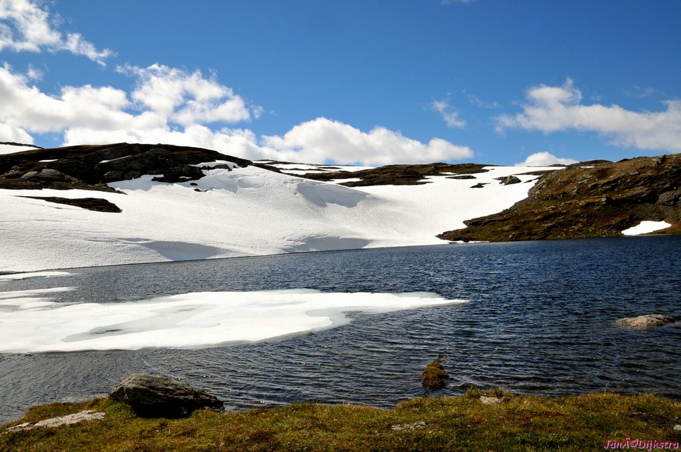 DSC_7890.JPG