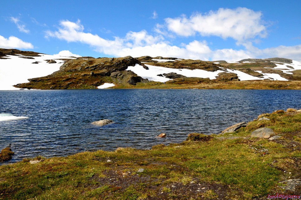 DSC_7891.JPG