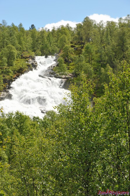 DSC_7892.JPG
