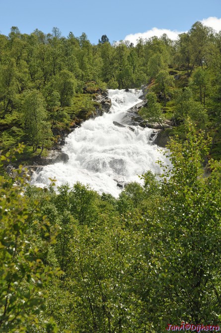 DSC_7893.JPG
