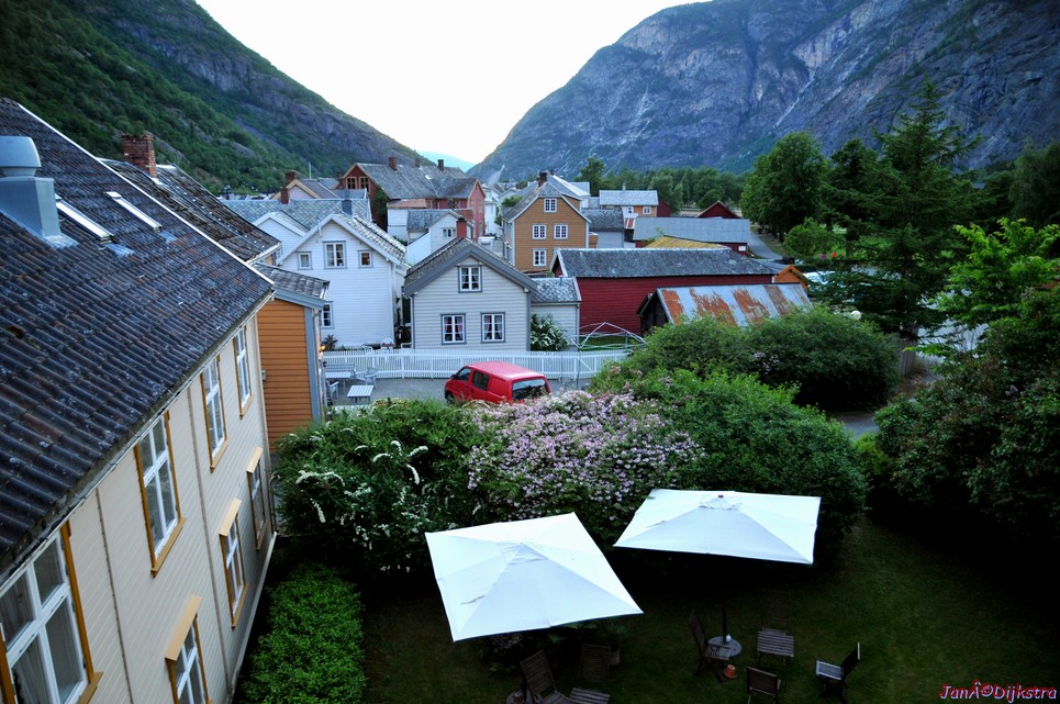 DSC_7894.JPG