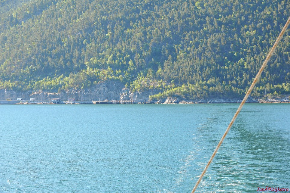 DSC_7895.JPG