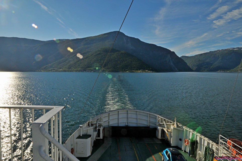 DSC_7899.JPG