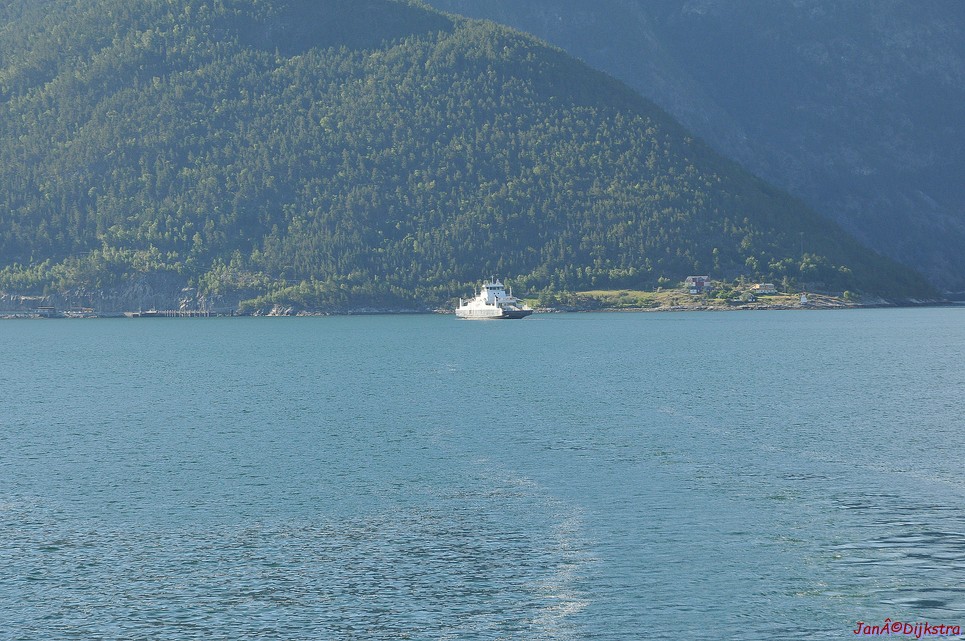 DSC_7904.JPG