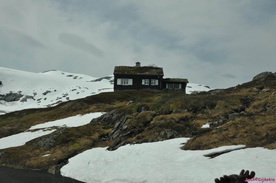 DSC_7909.JPG