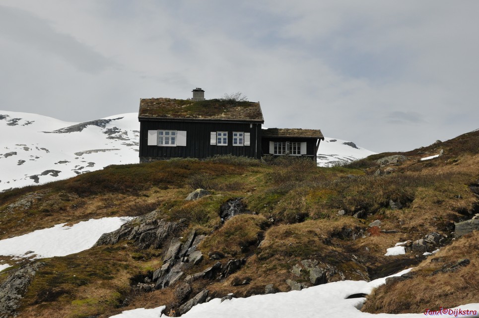 DSC_7912.JPG