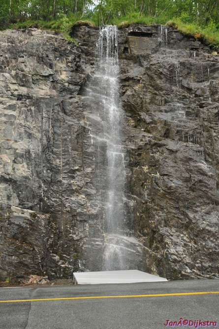 DSC_7944.JPG