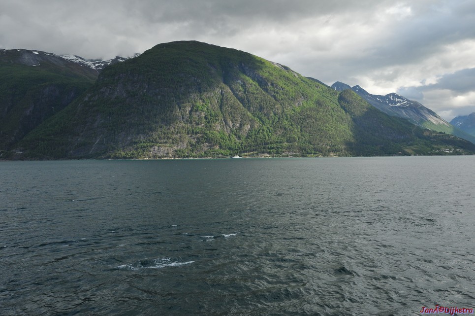 DSC_7965.JPG