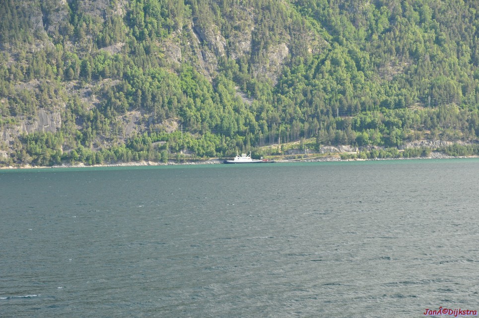DSC_7966.JPG