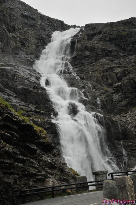 DSC_7980.JPG