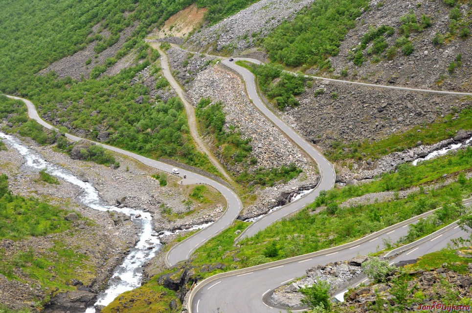 DSC_7981.JPG