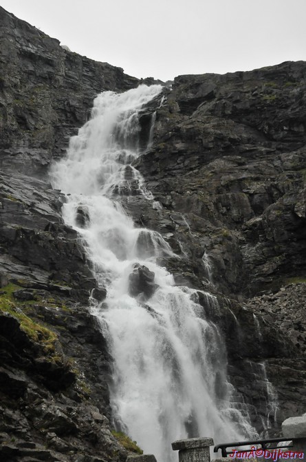DSC_7984.JPG
